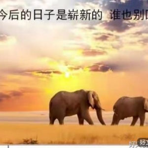 给予，是一种快乐；给予，是一种幸福