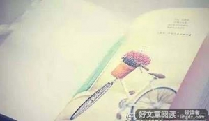 我不说不代表我傻
