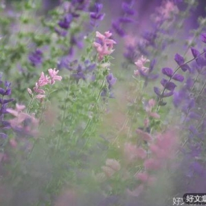 愿你心有所爱，余生欢喜自在