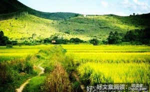 做好一件事儿，还能做好另一件事