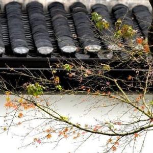 岁月匆匆，请善待自己