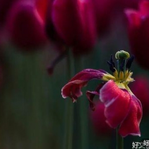 有一种现实，叫时过境迁