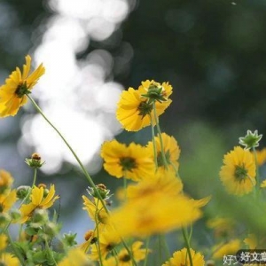 人有德，必有福
