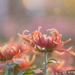 珍惜那个，愿花时间陪你的人