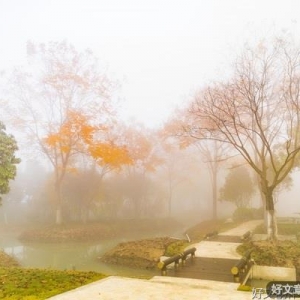 雾中澜飞是仙乡