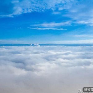 什么是沟通？