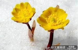 生命的意义