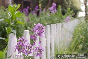 过好自己的生活的语录