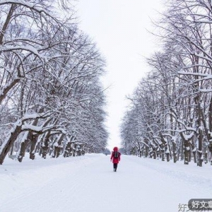 北方的雪