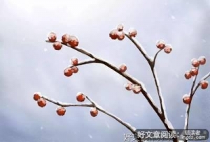 面向阳光，让生命精彩绽放
