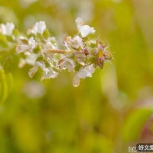 抛却烦恼，拥抱快乐