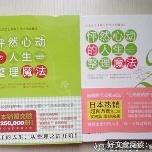 《怦然心动的工作整理魔法》读后感100字