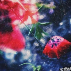 有种累，无人可说，无人可懂