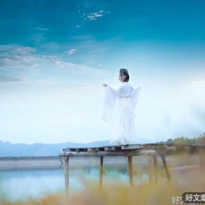 他来过，看过，写过
