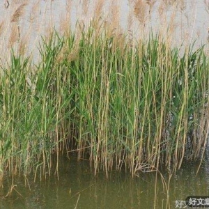 8种常用药不能吃了？