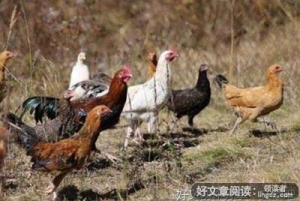 车里车外，恍如隔梦