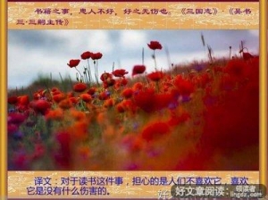 没什么值得在意名句欣赏