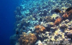 等边三角形降临那一天的读后感大全