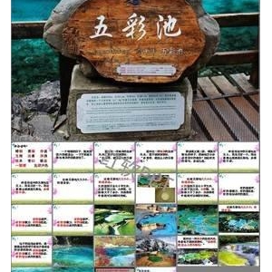 有关默读的句子