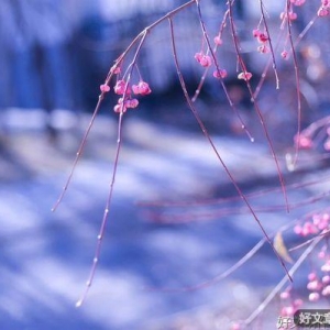 请相信，没有什么是过不去的（好文）