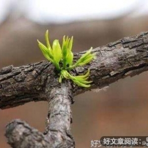 《为人》的句子