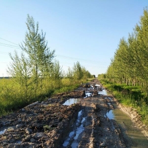 三十里乡间土路