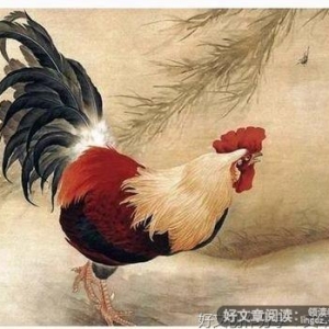 我觉得这就是命