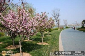 秋天的情结