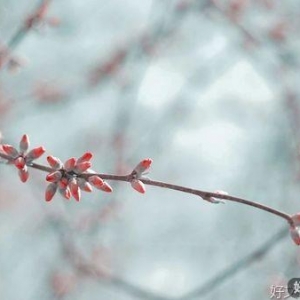 人在低谷，悲喜自渡