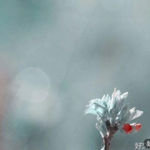 你怎么说话，就什么命