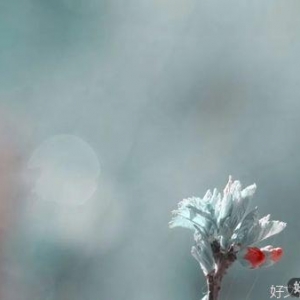 让感恩，成为一种习惯！