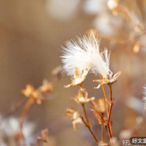今生，做一个懂感恩的人！