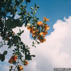 人生最美，是心的相逢