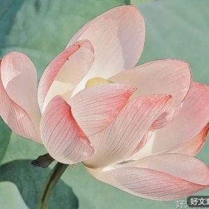 愿你心有湛然，此生欢喜自在