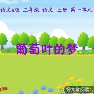 叶的梦