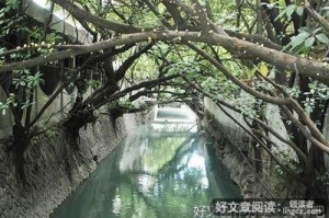 二十年间