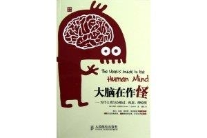 大脑读后感1000字