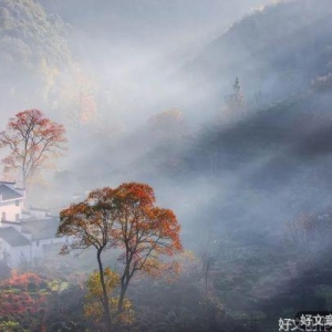 子女的福报，都和你有关！一看便知！