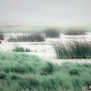 人 ，越简单，越高级