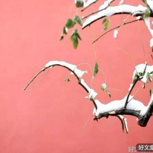 做一个内心干净的人
