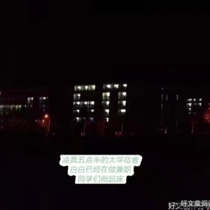白白这样努力的活