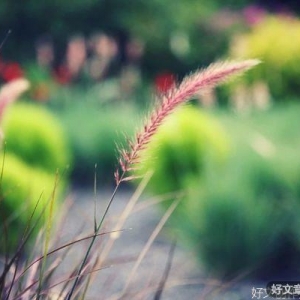 忙，是治愈一切的良药