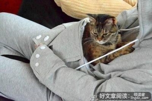 有关喜欢，像是猫爪子一样，不防间 挠你一下。的句子