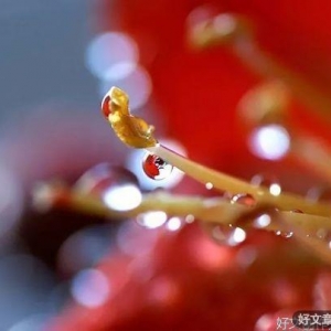 给灵魂一点美