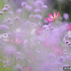 人生的最高境界，藏在修行里