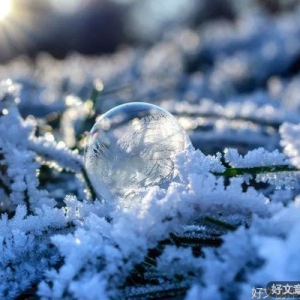 念一场洁白无瑕，度一生岁月安然