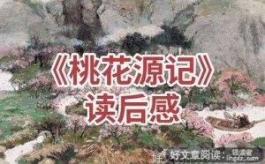 落花时节读后感精选