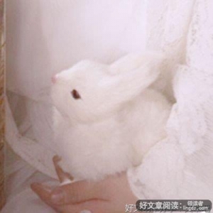 这大概就是生活吧