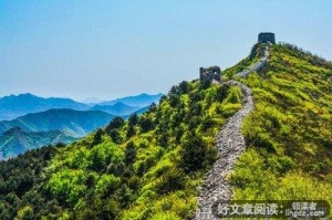 这年过的……