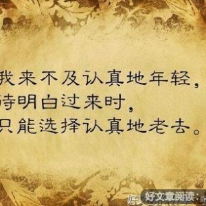 人生之哲理